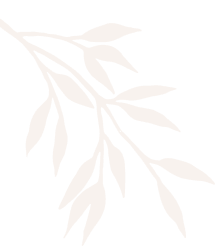 Fractionated CO2 Laser Skin Resurfacing Face Facials, Skin & Body Treatments in Hallandale ComplexCity Spa I Facials, Skin & Body Treatments in Hallandale