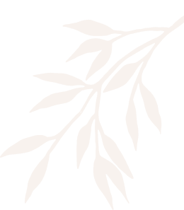 ComplexCity Spa Facials, Skin & Body Treatments in Hallandale ComplexCity Spa I Facials, Skin & Body Treatments in Hallandale