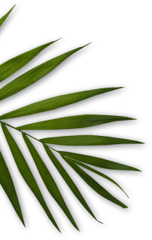 ComplexCity Spa Facials, Skin & Body Treatments in Hallandale ComplexCity Spa I Facials, Skin & Body Treatments in Hallandale