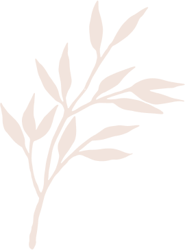 ComplexCity Spa Facials, Skin & Body Treatments in Hallandale ComplexCity Spa I Facials, Skin & Body Treatments in Hallandale