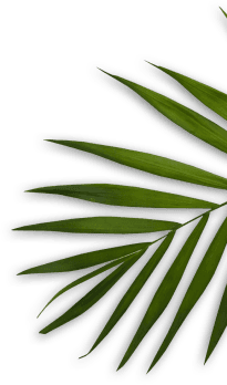 Fractionated CO2 Laser Skin Resurfacing Face Facials, Skin & Body Treatments in Hallandale ComplexCity Spa I Facials, Skin & Body Treatments in Hallandale