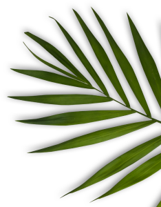 ComplexCity Spa I Facials, Skin & Body Treatments in Hallandale