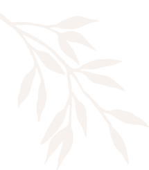 ComplexCity Wellness Club Facials, Skin & Body Treatments in Hallandale ComplexCity Spa I Facials, Skin & Body Treatments in Hallandale